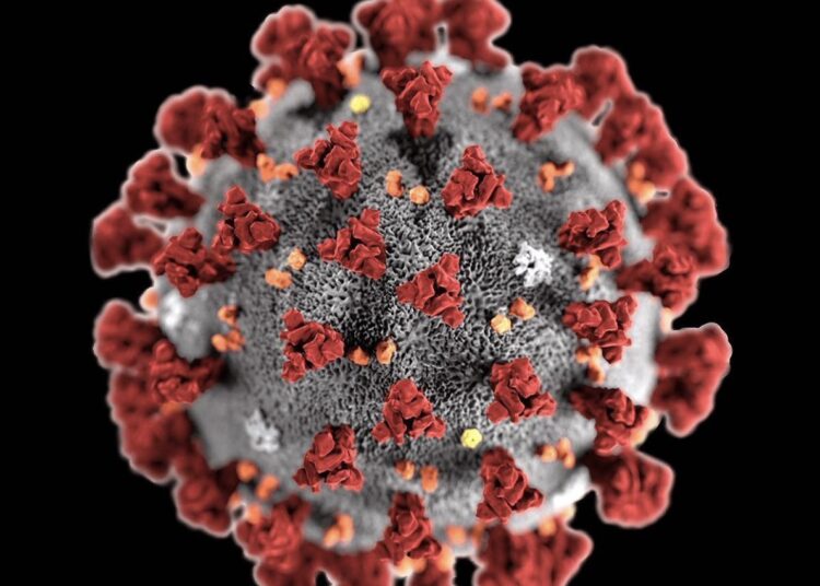 Бүгінгі таңда елімізде коронавирус инфекциясын жұқтырғандар саны 338 764-ке жетті.