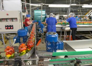 КӨКӨНІСТІ ІЗДЕСЕҢ – ШЫМКЕНТКЕ КЕЛЕСІҢ!