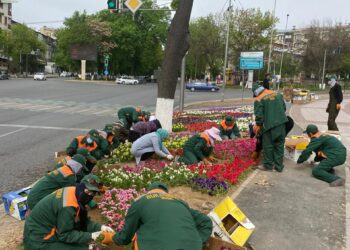 ШЫМКЕНТТІ КӨРІКТЕНДІРУ ЖҰМЫСТАРЫ ЖАЛҒАСУДА