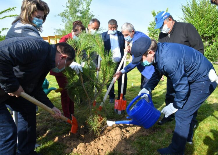 ШЫМКЕНТТЕ «ЖАСЫЛ ҚАЛА» АКЦИЯСЫ АЯСЫНДА ТАЗАЛЫҚ ІС-ШАРАСЫ ӨТУДЕ
