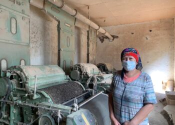 КӘСІПКЕР ӘЙЕЛДЕРДІҢ САНЫ АРТЫП КЕЛЕДІ