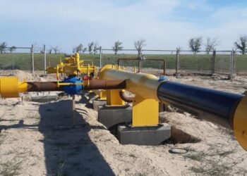 КӨГІЛДІР ОТЫНМЕН ҚАМТЫЛАДЫ