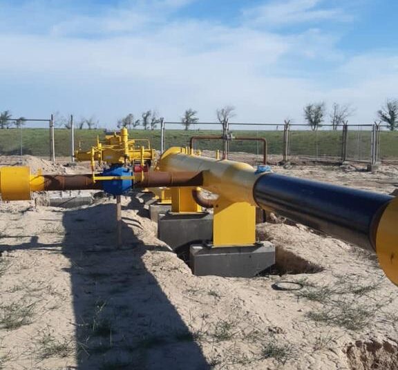 КӨГІЛДІР ОТЫНМЕН ҚАМТЫЛАДЫ