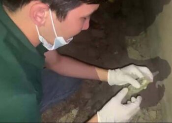 ҚҰҚЫҚБҰЗУШЫЛЫҚТЫҢ АЛДЫН АЛЫП, ТЕРІС ЖОЛДАН ҚҰТҚАРУДА