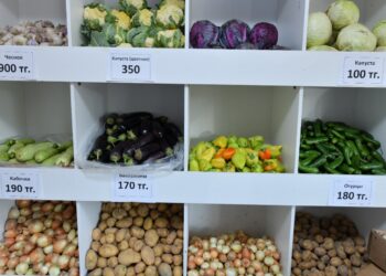 ӘЛЕУМЕТТІК ДҮКЕНДЕР ҚАТАРЫ КӨБЕЮДЕ