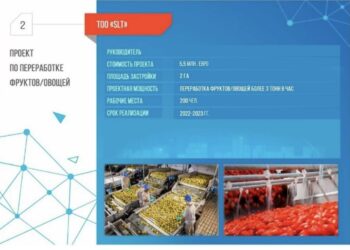 ШЕТЕЛДІК ИНВЕСТОР ШЫМКЕНТТЕ ЖЕМІС ПЕН КӨКӨНІСТІ ҚАЙТА ӨҢДЕУ ЖӘНЕ КОНСЕРВІЛЕУ ЗАУЫТЫН САЛУҒА НИЕТ БІЛДІРДІ