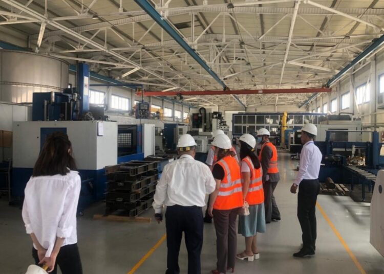 ШЫМКЕНТТЕ КӨКӨНІС ШАРУАШЫЛЫҒЫН ДАМЫТУДА ЖАҢА ЖОБА ҚОЛҒА АЛЫНДЫ