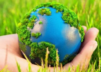 1407 құқық бұзушылық анықталды