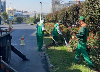 Көгалдандыру жұмыстары кестеге сай жүргізілуде