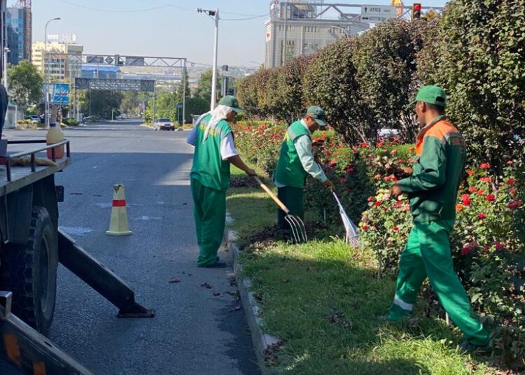 Көгалдандыру жұмыстары кестеге сай жүргізілуде