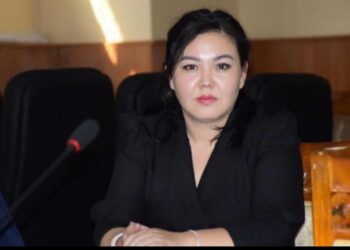 КЕЛЕШЕГІ КЕМЕЛ САЛАНЫҢ БІЛІКТІ ЖЕТЕКШІСІ