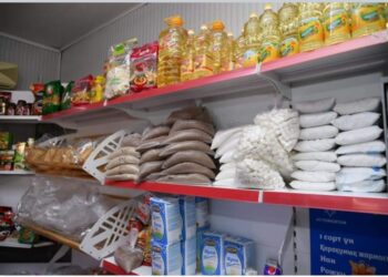 ТҮРКІСТАН: БАҒАНЫ ӨСІРГЕНДЕРГЕ АЙЫППҰЛ САЛЫНДЫ