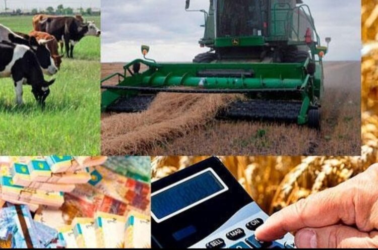 ШАРУАЛАРҒА АГРОӨНЕРКӘСІП КЕШЕНІН СУБСИДИЯЛАУ БОЙЫНША СЕМИНАРЛАР ӨТЕДІ