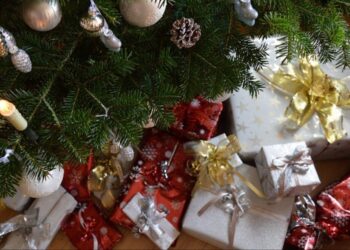 МҮМКІНДІГІ ШЕКТЕУЛІ БАЛАЛАРҒА ЖАҢА ЖЫЛДЫҚ СЫЙЛЫҚТАР БЕРІЛДІ