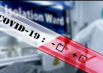 ӨТКЕН ТӘУЛІКТЕ КОРОНАВИРУС 420 АДАМНАН АНЫҚТАЛДЫ