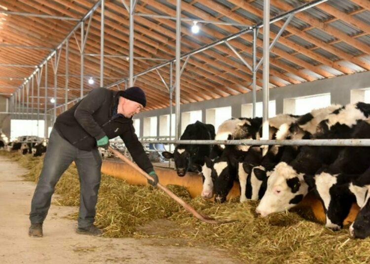 ШЫМКЕНТТЕ АСЫЛ ТҰҚЫМДЫ МАЛ ШАРУАШЫЛЫҒЫ ДАМЫП КЕЛЕДІ