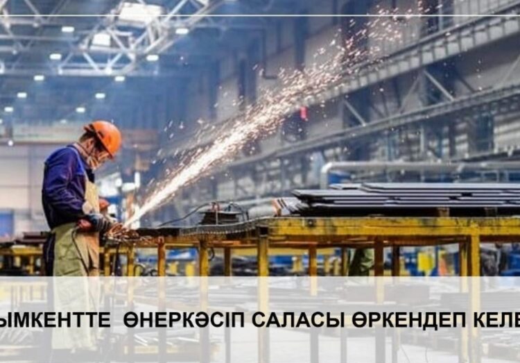 ШЫМКЕНТТЕ ӨНЕРКӘСІП САЛАСЫ ӨРКЕНДЕП КЕЛЕДІ