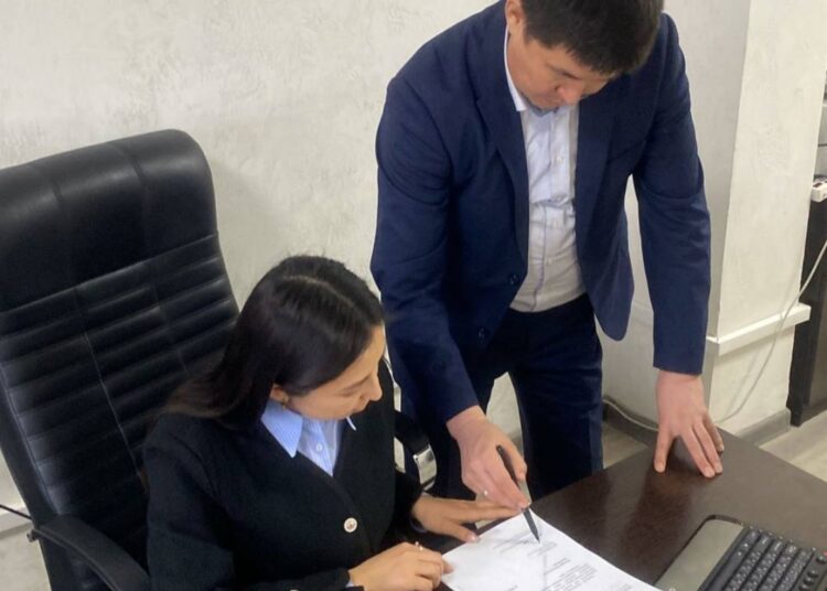 ЖАСТАР ПРАКТИКАСЫНАН -МЕМЛЕКЕТТІК ҚЫЗМЕТШІГЕ ДЕЙІН