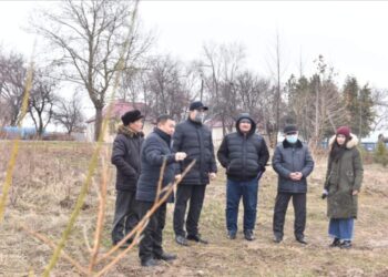 ДЕНДРОСАЯБАҚТА БИЫЛ 15 МЫҢ КӨШЕТ ЕГІЛЕДІ