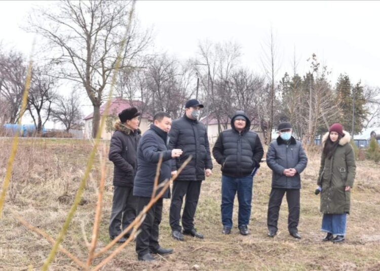 ДЕНДРОСАЯБАҚТА БИЫЛ 15 МЫҢ КӨШЕТ ЕГІЛЕДІ