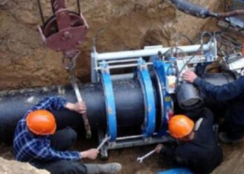 ҚҰРСАЙ 2022 ЖЫЛДЫҢ СОҢЫНДА САПАЛУ СУМЕН ҚАМТЫЛАДЫ