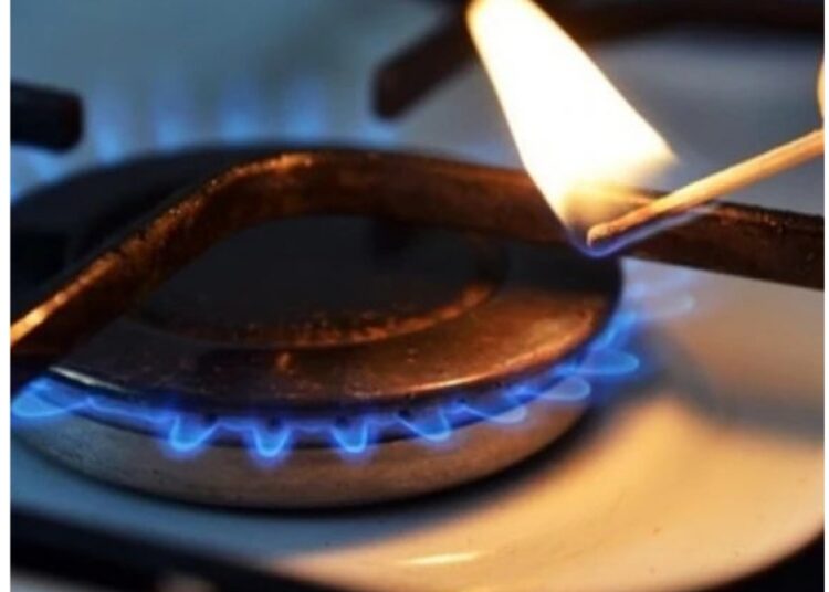 БИЫЛ НҰРТАС ШАҒЫН АУДАНЫ ГАЗ ЖӘНЕ САПАЛЫ ЭЛЕКТРМЕН ТОЛЫҚ ҚАМТЫЛАДЫ