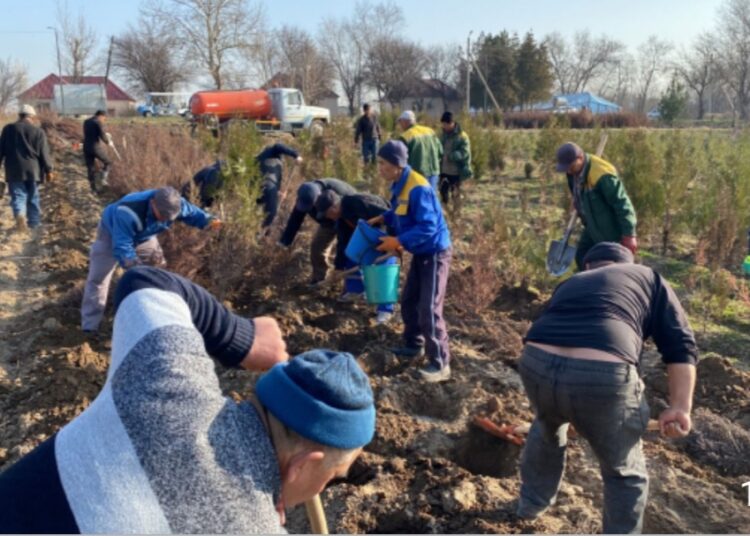 ШЫМКЕНТТЕ ЖАЛПЫ ҚАЛАЛЫҚ СЕНБІЛІК ӨТТІ