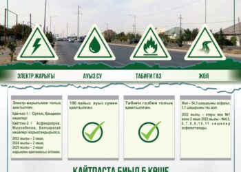 ҚАЙТПАСТА БИЫЛ 5 КӨШЕ ЖАРЫҚТАНДЫРЫЛАДЫ