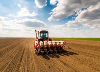 ШЫМКЕНТТЕ ЕГІС АЛҚАБЫ КЕҢЕЙДІ