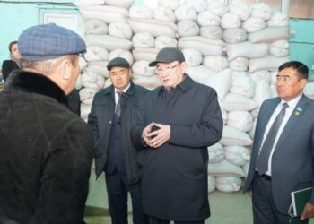 ТҮРКІСТАН: СЕНАТ ДЕПУТАТАРЫ КЕЛЕСКЕ КЕЛІП ӨЗЕКТІ МӘСЕЛЕЛЕРДІ ТЫҢДАДЫ