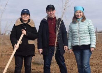 ТҮРКІСТАНДА НАУРЫЗ МЕРЕКЕСІНЕ ОРАЙ СЕНБІЛІК ҰЙЫМДАСТЫРЫЛЫП, АҒАШ КӨШЕТТЕРІ ОТЫРҒЫЗЫЛДЫ