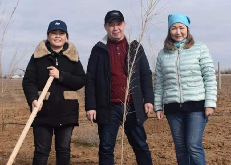 ТҮРКІСТАНДА НАУРЫЗ МЕРЕКЕСІНЕ ОРАЙ СЕНБІЛІК ҰЙЫМДАСТЫРЫЛЫП, АҒАШ КӨШЕТТЕРІ ОТЫРҒЫЗЫЛДЫ