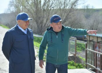 ТҮРКІСТАН ОБЛЫСЫНДА 100-ДЕН АСТАМ ӨЗЕН — КӨЛДЕ БАЛЫҚ ӨСІРІЛЕДІ