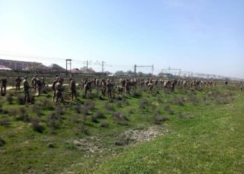 ТҮРКІСТАН: АРЫСТЫҢ АЖАРЛАНУЫНА ӘСКЕРИЛЕР ДЕ АТСАЛЫСУДА