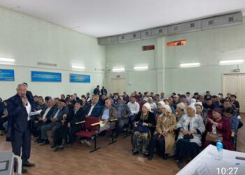 АУДАН ӘКІМІНІҢ ТҰРҒЫНДАРЫМЕН КЕЗДЕСУІ ЖАЛҒАСУДА