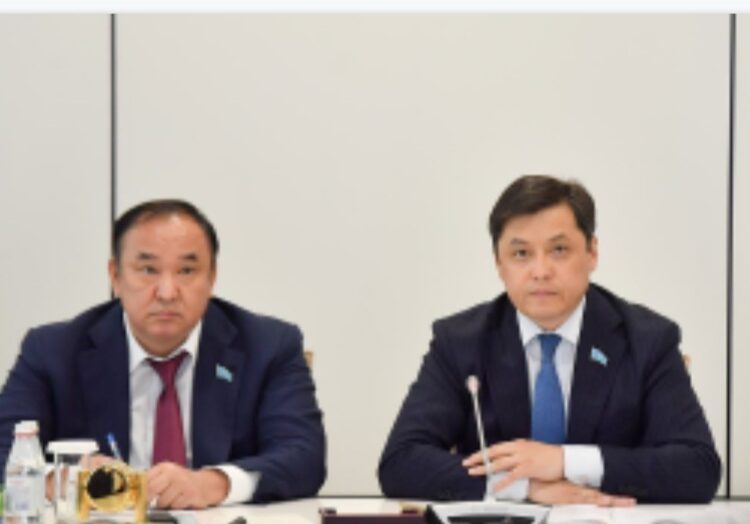 AMANAT» : ЖОЛ КАРТАСЫ ТОЛЫҚҚАНДЫ ОРЫНДАЛУЫ ТИІС