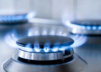 ШАПЫРАШТЫ ТҰРҒЫН АЛАБЫНДА ЖОСПАРЛЫ ЖҰМЫСТАР ЖҮРГІЗІЛУДЕ