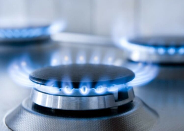 ШАПЫРАШТЫ ТҰРҒЫН АЛАБЫНДА ЖОСПАРЛЫ ЖҰМЫСТАР ЖҮРГІЗІЛУДЕ