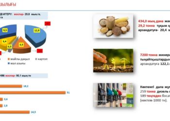 ШЫМКЕНТТЕ БИЫЛ 51 МЫҢ ТОННА КӨГӨНІС ЖИНАУ ЖОСПАРЛАНУДА