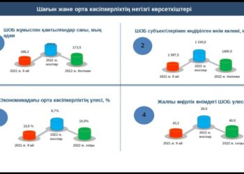 ЖАЛПЫ ӨҢІРЛІК ӨНІМДЕГІ ШАҒЫН ЖӘНЕ ОРТА БИЗНЕСТІҢ ҮЛЕСІ 43 ПАЙЫЗДЫ ҚҰРАЙДЫ
