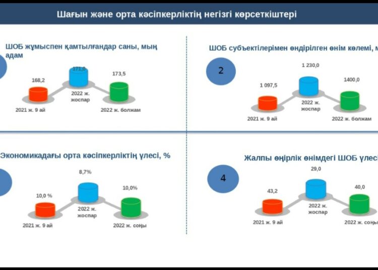 ЖАЛПЫ ӨҢІРЛІК ӨНІМДЕГІ ШАҒЫН ЖӘНЕ ОРТА БИЗНЕСТІҢ ҮЛЕСІ 43 ПАЙЫЗДЫ ҚҰРАЙДЫ
