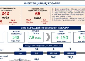 БИЫЛ 65 ИНВЕСТИЦИЯЛЫҚ ЖОБА ЖҮЗЕГЕ АСЫРЫЛУДА