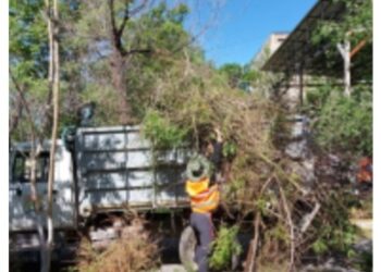 ӘЛ-ФАРАБИ АУДАНЫНДА САНИТАРЛЫҚ ТАЗАЛЫҚ ЖҰМЫСТАРЫ ЖҮРГІЗІЛУДЕ