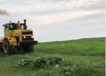 ӨРТКЕ ҚАРСЫ МИНЕРАЛДЫ ЖОЛАҚ ЖЫРТУ ЖҰМЫСТАРЫ БАСТАЛДЫ