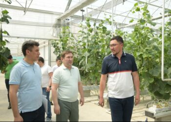 ҚАЛА ӘКІМІ АУЫЛШАРУАШЫЛЫҚ НЫСАНДАРЫН АРАЛАДЫ