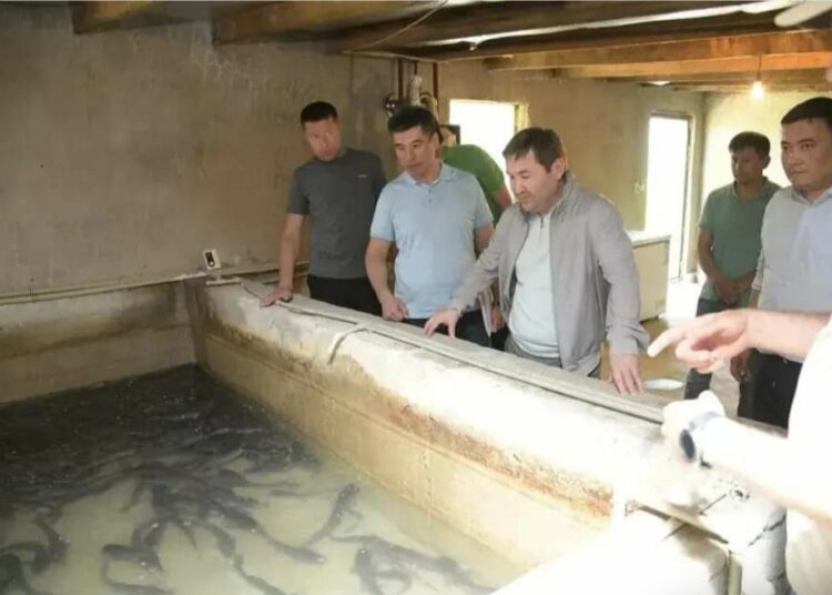 ҚАЛА ӘКІМІ БАЛЫҚ ШАРУАШЫЛЫҒЫНЫҢ ЖҰМЫСЫМЕН ТАНЫСТЫ