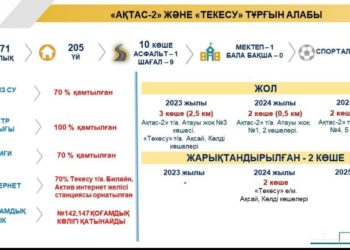 ТЕКЕСУ ТҰРҒЫН АЛАБЫ ЖЫЛ СОҢЫНА ДЕЙІН ТАБИҒИ ГАЗБЕН ҚАМТЫЛАДЫ