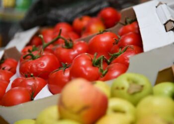 ТҮРКІСТАН: «ЭКОБАЗАРДА» ЖӘРМЕҢКЕ ӨТТІ