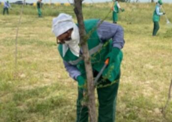 ТАЗАЛЫҚ ЖҰМЫСТАРЫ ҚАТАҢ БАҚЫЛАУҒА АЛЫНДЫ