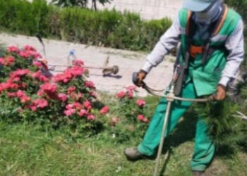 ЖАСЫЛ ЖЕЛЕКТЕРДІ КҮТІП-ҰСТАУ ЖҰМЫСЫ ҚАРҚЫН АЛДЫ